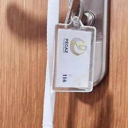 U In Pegaz * Vrnjačka Banja